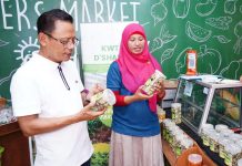 Olah Penampungan Sampah Jadi Smart Farming, Kelompok Wanita Tani Binaan PLN Mampu Hasilkan Ratusan Juta
