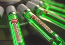 Ngeri, Ilmuwan China Uji Virus Mematikan Mirip COVID-19