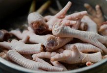 Pakar Ungkap Batas Aman Konsumsi Ceker Ayam Biar Kolesterol Tak Nanjak