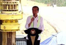 Jokowi Mau Groundbreaking Lagi di IKN, Ada Kantor Bank hingga BPJS Kesehatan