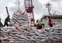 Indonesia Impor Beras hingga Sapi buat Ramadan, Ini 3 Faktanya