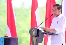 4 Pernyataan Terbaru Jokowi soal Pembangunan IKN