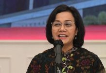 Saat Sri Mulyani Pamer ke Investor Negara Seperti Indonesia Langka