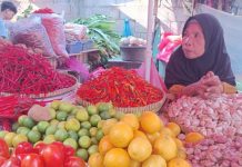 Harga Cabai Pelan-pelan Mulai Turun Nih!