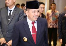 Pj Gubernur Agus Fatoni Terus Lakukan Upaya Kembalikan Status Sandara SMB II Palembang Menjadi Bandara Internasional