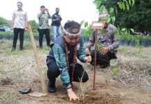 Pj Gubernur Agus Fatoni Dukung Pelestarian Tanaman Gaharu Sebagai Ikon Baru Sumsel