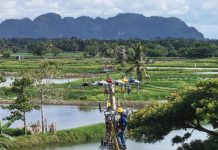 Akhirnya, 33 Dusun Terpencil Sulawesi Selatan Dilistriki PLN, Menyala 24 Jam!