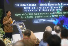 Di Forum Ekonomi Tri Hita Karana, PLN bersama Pemerintah Ajak Komunitas Global Berkolaborasi dalam Pendanaan Transisi Energi