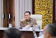 Tingkatkan Produksi Padi, Pemprov Sumsel Segera Optimalisasi Lahan Rawa Seluas 98.400 Hektar