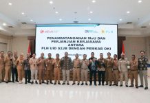 Perkuat Kolaborasi dengan Pemerintah Daerah, PLN UID S2JB Jalin Kerjasama dengan Pemkab OKI Terangi Desa di Sumsel
