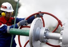 PGE Bidik Aset Panas Bumi di Kenya dan Turki