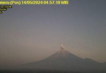 Gunung Semeru Erupsi Pagi Ini, Letusan Abu Capai 600 Meter dari Puncak