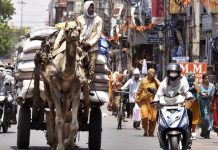 Suhu Panas India Makin Parah! Nyaris 50 Derajat Celcius, 13 Orang Meninggal