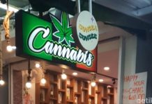 Thailand Bakal Cabut Status ‘Bebas’ Konsumsi Ganja di Akhir 2024
