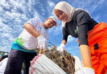 Hari Lingkungan Hidup, PLN Berhasil Kumpulkan Sampah 302 Ton Lewat Program _Green Employee Involvement_