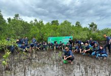 Peringati Hari Lingkungan Hidup Sedunia, PLN Tanam 3.000 Mangrove di Pesisir Sulawesi Utara