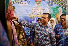 Pj Gubernur Sumsel Elen Setiadi Hadiri Puncak Peringatan Harganas ke-31 di Semarang