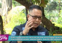 Nggak Main-main, Ini Ancaman Hukum bagi Pelaku Tindak Pidana LHK