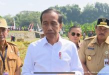 Jokowi Bantah Wacana Korban Judi Online Jadi Penerima Bansos: Nggak Ada