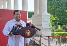 Jokowi Instruksikan Prabowo Kirim Nakes dan Bangun RS di Gaza