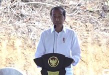 Jokowi Buka-bukaan Harga Tanah di IKN, Besok Bisa Naik!