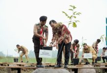 Jaga Kelestarian Aneka Tanaman Hayati, Pj Gubernur Sumsel Elen Setiadi Groundbreaking Pembangunan Taman Rawa Pertama di Indonesia