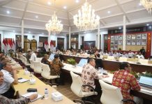 Pj Gubernur Elen Setiadi Ikuti Rakor Bersama KPPIP Dorong Realisasi Proyek Strategi Nasional di Sumsel