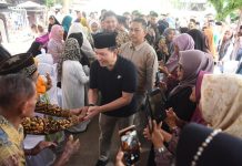 Kunker ke Desa Seribandung Ogan Ilir, Pj Gubernur Elen Setiadi Disambut Antusias Warga