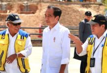 Basuki Buka Suara soal Kabar Jokowi Batal Ngantor di IKN