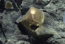 Benda Mirip Telur Emas Ditemukan di Dasar Laut Alaska