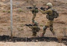 Kesaksian Ibu di Gaza Lihat Anaknya Digigit Anjing Militer Israel hingga Tewas