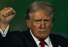 Pasar Saham AS Ambruk, Donald Trump Salahkan Kamala Harris & Joe Biden