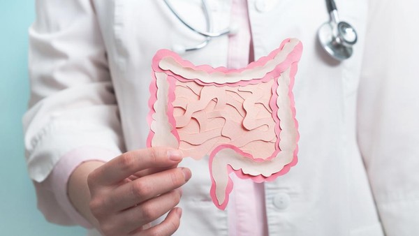 ilustrasi-peran-usus-dalam-tubuh_169