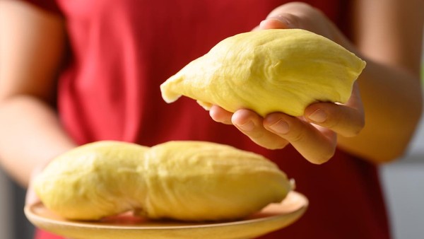 ilustrasi-durian-1_169