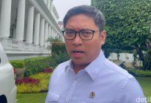 Wamentan Klaim Harga Daging Sapi Tak Naik Jelang Lebaran