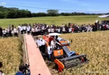 Prabowo Jajal Combine Harvester Saat Panen Raya di Majalengka