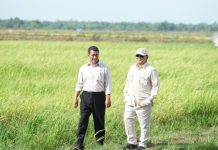 700 Ribu Petani Dapat Manfaat dari Pemerintah, Andre Rosiade: Prabowo On The Right Track