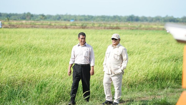 presiden-prabowo-subianto-mengunjungi-sawah-di-merauke-untuk-program-swasembada-pangan_169
