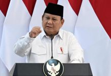 Prabowo Beri Selamat ke PM Albanese, Harap Kerja Sama RI-Australia Makin Kuat