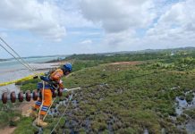 Wujud Kontribusi ke Negara, PLN Setor Rp65,59 Triliun Lewat Dividen, Pajak, dan PNBP