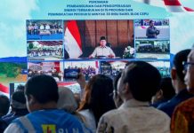 Presiden Prabowo Resmikan 55 Proyek Pembangkit EBT, Termasuk Program Lisdes PLN di Berbagai Wilayah Indonesia