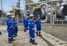 Kolaborasi Lintas Sektor Kembangkan PLTP, PLN Siap Dorong Transisi Energi Nasional