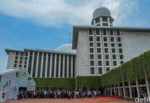 Sapi Kurban Prabowo-Gibran di Istiqlal Disembelih Hari Ini untuk 2 Ribu Yatim