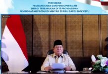 Prabowo Resmikan Pembangkit Listrik EBT di 15 Provinsi Senilai Rp 25 T