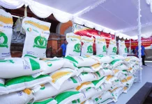 Penyaluran Dimulai, 18 Juta Orang Terima Bansos Beras 20 Kg
