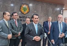 RI Siapkan Lahan Pertanian 20.000 Ha, Hasilkan Beras-Tomat buat Palestina