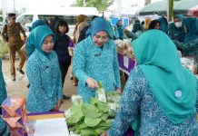 Staf Ahli TP PKK Sumsel Lidyawati Cik Ujang Perkuat Silaturahmi dan Evaluasi Program TP PKK Banyuasin