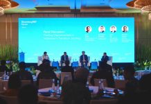 Hashim Tegaskan Posisi RI Di Paris Agreement, PLN Siap Jadi Motor Dekarbonisasi