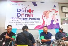 Meriahkan Peringatan Sumpah Pemuda 2025 Karyawan XLSMART Gelar Donor Darah Bersama PMI Kota Pekanbaru