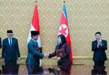Menlu Sugiono Bertemu Menlu Korut di Pyongyang, Perkuat Hubungan Bilateral